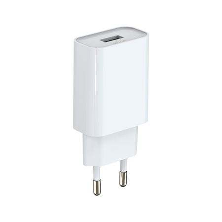 C009 2A wall charger