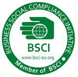 BSCI.png